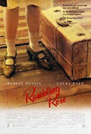 Rambling Rose 1991